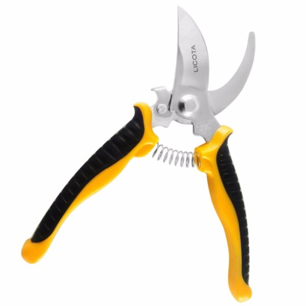 Image result for TGP-00387