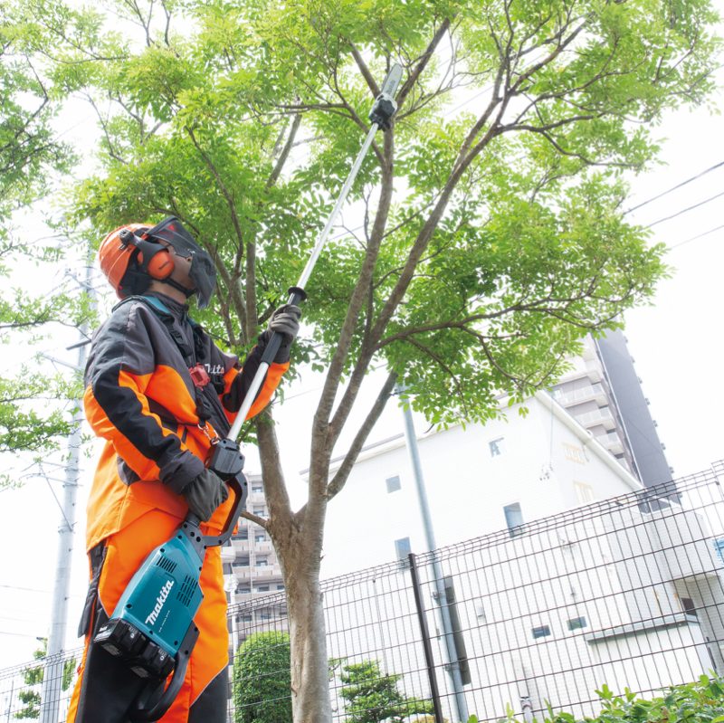 DUA300ZB CORDLESS POLE SAW(300MM/2238MM/BL)(18Vx2) &ndash; Makita VietNam Website